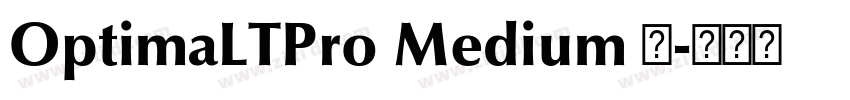 OptimaLTPro Medium 中字体转换